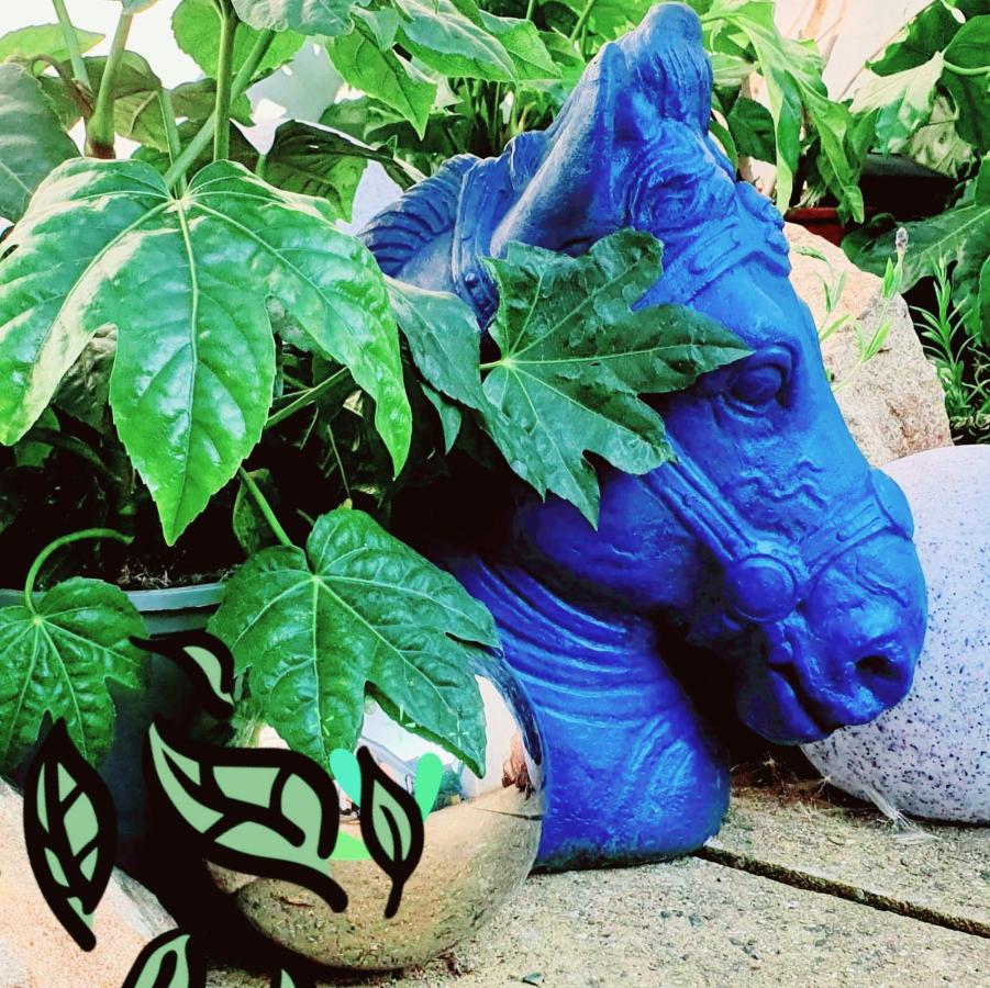 إيردري The New Blue Horse Suite At The Grumpy Schnauzer B&B Luxury Private Indoor Hot Tub Breakfast In Bed المظهر الخارجي الصورة